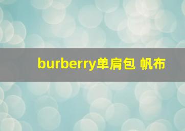 burberry单肩包 帆布